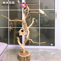 Dry branch bird stand light stand natural keel branch dead branch indoor flower art bird supplies Nordic decoration landscaping