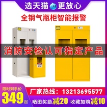 Explosion-proof gas bottle cabinet safety cabinet laboratory oxygen acetylene hydrogen 40 liter steel bottle cabinet gas tank double bottle storage cabinet