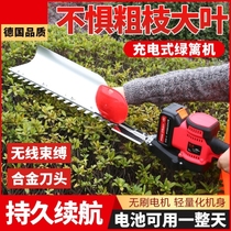 Rechargeable tea tree trimmer refurbishment Wang electric hedge trimmer fence shears lithium battery tea picking machine