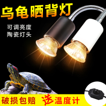 Little tortoise Sunback lamp uvb bulb half water turtle back lamp spectral temperature control heating insulation sun lamp pet supplies