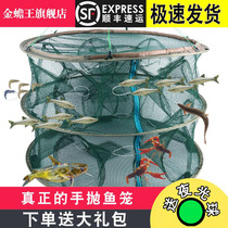 Fishing cage Shrimp cage automatic lobster net Folding fishing net Catch eel Loach shrimp flutter tool net small fish net round