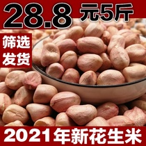 2021 New Peanuts Raw Peanuts Fresh Pink Peanuts 5 Jin New Goods Farmers Shelled Oil