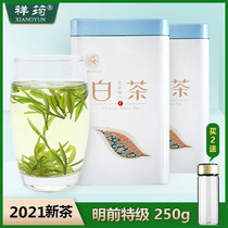 Xiangyun Zhejiang authentic Anji White Tea 2021 New Tea Mingchen Premium 250g Gift Boxed Spring Tea Green Tea Tea