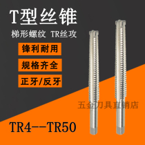 Trapezoidal screw tap tr8 * 1 5 10*2 12*2 5 14*3 16 x 4 18*5 T-type threaded machine tap