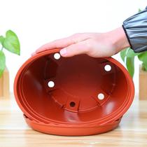 Plastic chunky gallon pot Green rose flower fleshy indoor household balcony resin large large diameter flowerpot