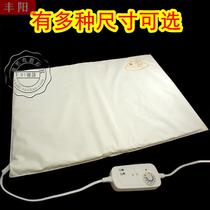 Large and small size pet electric blanket waterproof thickened tone constant temperature reptile cushion plate cat cat pooch safe electric heating cushion