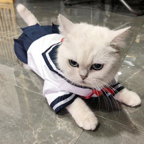 Cat Clothes lolita cat dog cute shirt skirt thin pet JK uniform skirt Mandarin dress