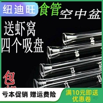 Glass esophagus Crystal shrimp feeding tube Aerial shrimp feeding basin Double suction cup horn mouth Ornamental fish turtle snail shrimp feeder