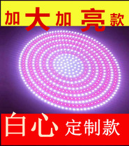 Led fresh pork lamp brightens high-power beef and mutton seafood lamp selling meat according to meat cold fresh meat lamp market supermarket