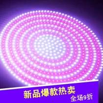 Led pork light beef mutton lamp over bright and high power cooked food cold fresh meats meat market to sell meat red white chicken