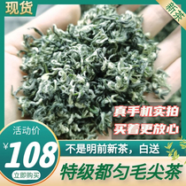Special grade 2021 new tea before the Ming dyuyun Maojian tea strong flavor type Alpine Rizhao spring tea tender tip Maofeng Maofeng 250g