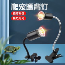 Tortoise Sunback lamp heating heat preservation sun lamp turtle bulb turtle crawler uva heating uvb pet three-in-one