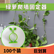 Green Luo wall climbing artifact Green plant climbing fixture Green basket clip hook vine wall buckle Household incognito climbing vine sticker