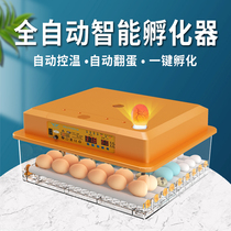 New Weida Incubator Small Home Type Fully Automatic Smart Incubator Box Chicken Duck Goose Pigeon Quail Incubator