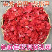 Fresh white impatiens nail grass dyed nails pink petals bubble wine small peach red bone grass daughter flower golden phoenix