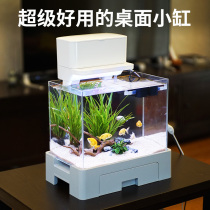 Small mini desktop living room ecological super white glass bare hexagonal dinosaur fish water free home base small fish tank