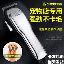 Zhigao special dog shaver electric clipper large dog trimmer electric clipper high-power pet shop dedicated