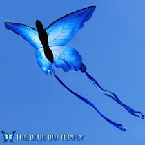 Butterfly kite Weifang dynamic luminous cartoon breeze easy to fly children's special new three-dimensional prairie toy card