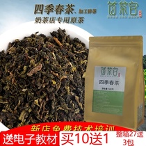 Milk tea shop special fruit tea Taiwan four spring oolong tea 500g Alpine Tieguanyin milk green milk cover tea raw materials