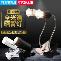 Turtle sun back light heating and insulation Turtle cylinder clip light Climbing pet insect Full spectrum heating back heating sterilization sun light