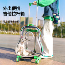 Cat luggage case transparent cat bag out door portable large capacity space capsule portable backpack dog pet supplies