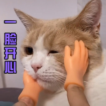 Douyin same Net Red little finger cat head massage small gloves pet supplies funny cat artifact roll cat toy