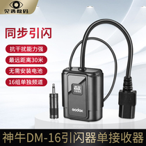 Shenniu DM-16 Single Receiver Flash Trigger 16 Channel Video Room Light Trigger Single Receiver