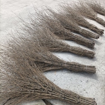 The old Nan Zhuzhi girl sweepers the special sweeping head such as the head school factory site property sanitation farm 