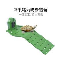 Cool Climbing Turtle Sun Back Climbing Terrace High Water Level Deep Water Rest Climbing Slopes Brazil Tortoise Powerful Suction Cup Floating Island Tortoise Vat Build View