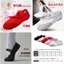 Dance and dance shoes Childrens red female practice shoes Children soft bottom male dancing girl cat claw adult body