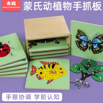 Montessori hand grip panel parapet teaching aids children Wood animal plant puzzle Montessori educational early childhood toys