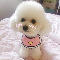 Little dog saliva towel pet scarf cat triangle scarf Bo Mei small dog scarf Teddy cute cartoon bib