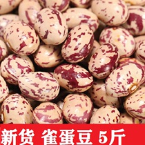 xin dou que dan beans 5 pounds Farm new grains long grain hong hua dou 2500g kidney milk bean Golden Bean red kidney beans