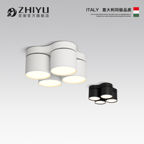 Double head mounted Downlight led ceiling lamp adjustable angle three head four head ceiling lamp living room without main lamp lighting