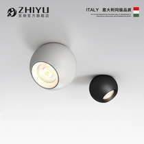 Ming suit spotlight living room entrance cloakroom simple ball corridor aisle rotatable led ceiling lamps