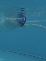 Diving breathing artifact artificial fish gill underwater respirator deep diving mouthpiece air mask simple mouth bite swimming