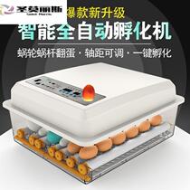Machine Chicken Incubator Hatcher Hatching Chick Home Fully Automatic Household Small Egg Coat