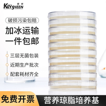 Bikman Bionutrient Agar Plate 9cm Blood Tablet Tsa Sedimentation Bacteria Petri Dish Microbial Culture Medium Laboratory That Is to cultivate Pindish aquatic total bacteria plate 90mm type finished product bacteria 90mm