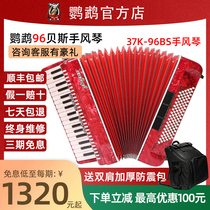  Parrot Accordion YW871 Exam performance Beginner 96 Bass accordion accordion