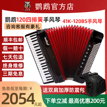  Parrot accordion YW862 exam professional playing accordion 120 bass four-row spring accordion