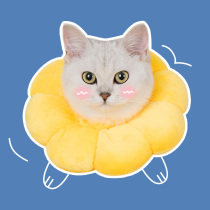Sunflower Elizabeth circle cat collar collar collar cat pet dog dog head cover anti-bite and anti-licking shame ring supplies