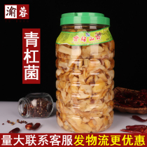 () Penicillium cytii 3000g clear water edible fungus mountain fungus fresh mushroom fresh mushroom fresh fungus
