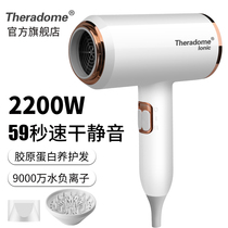 Theradome hair salon hair dryer household high power barber shop negative ion protection electric hair blower hot and cold wind