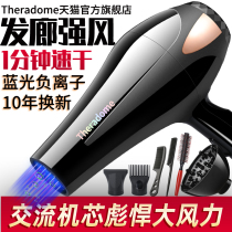 Hair dryer home barber shop hair care high-power hair salon dedicated cold and heat electric blower professional negative ion mute