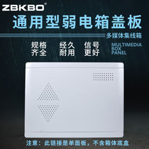 Fiber optic home information box Multimedia cover Weak box cover ABS plastic panel 300*400 cover panel