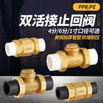 4 6 HOT MELT CHECK VALVE BRASS HORIZONTAL BACKSTOP 20 25ppr Double live tap water pipe form to the valve