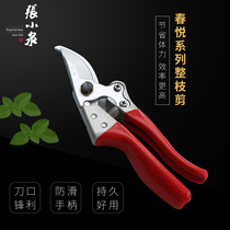Zhang Xiaoquan scissors household horticultural scissors garden scissors fruit trees flower pedicure scissors pruning shears pruning shears