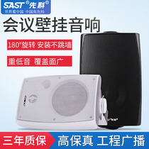 SAST Senko PD60 Wall Hanging Audio Conference Room Mall Speaker Background Music Broadcast Speaker Indoor Speaker