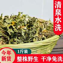 Wild dandelion tea is a whole fresh and unsuper breast hay grandmother - in - mother - in - law 500g Pu - ku