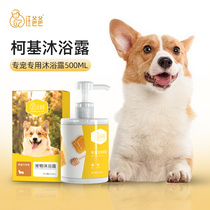Wang Dad Corgi shower gel Sterilization deodorant Pet dog special shampoo bath Bath supplies 500ml